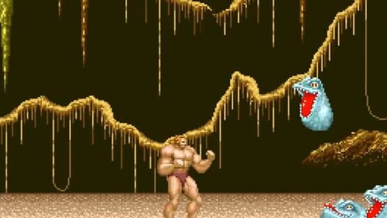 Juuouki — screenshot 4