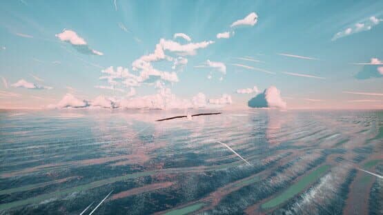 Toroa: Skycall — screenshot 1