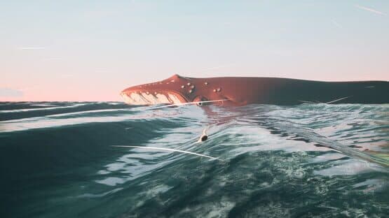 Toroa: Skycall — screenshot 4