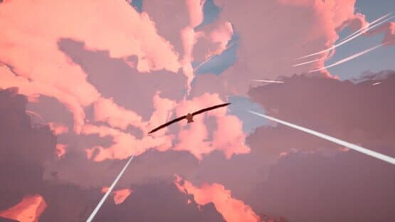 Toroa: Skycall — screenshot 5