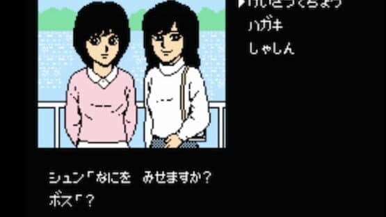 Hokkaido Rensa Satsujin: Okhotsk ni Kiyu — screenshot 7