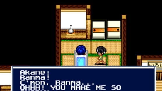 Ranma ½: Aka Neko-dan Teki Hihou — screenshot 2
