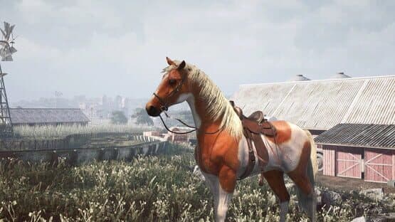 Horse Shelter 2022 — screenshot 2