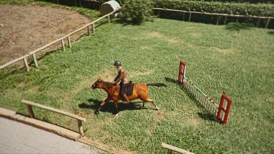 Horse Shelter 2022 — screenshot 4