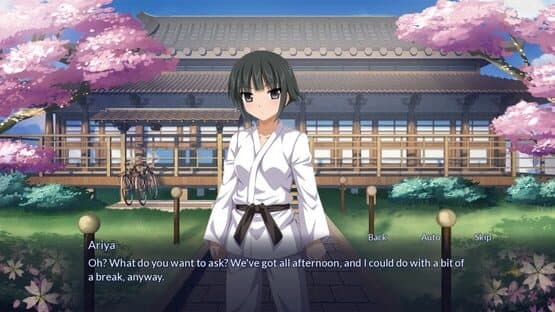 Sakura Spirit — screenshot 3