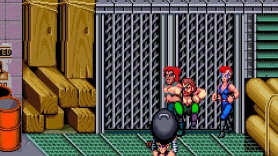 Double Dragon II: The Revenge — screenshot 3