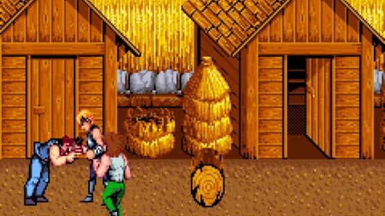Double Dragon II: The Revenge — screenshot 5