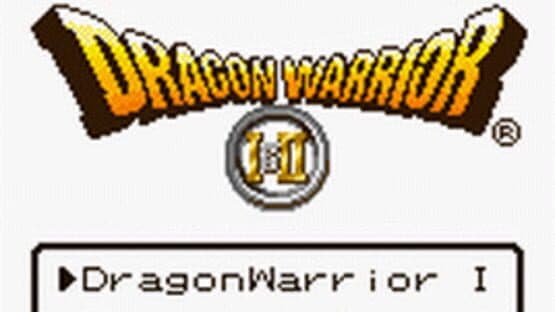 Dragon Warrior I & II — screenshot 1