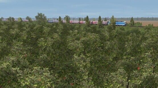 Trainz Railroad Simulator 2022: Znamensk-Svir — screenshot 6