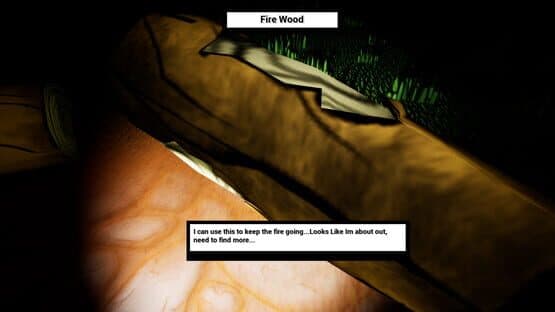 A Lil' Horror Story: The Camp Fire — screenshot 2