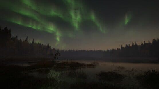 TheHunter: Call of the Wild - Revontuli Coast — screenshot 2