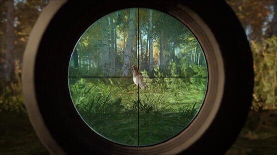 TheHunter: Call of the Wild - Revontuli Coast — screenshot 6