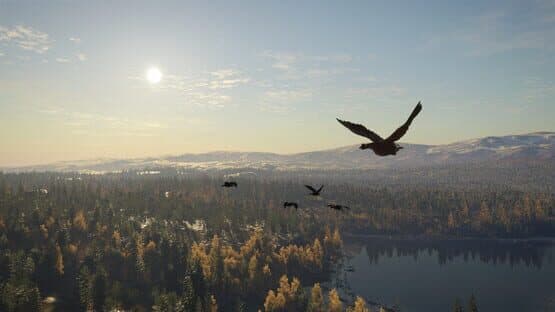 TheHunter: Call of the Wild - Revontuli Coast — screenshot 7