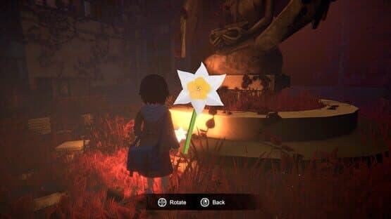 Narin: The Orange Room — screenshot 4