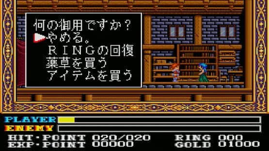 Ys: Wanderers from Ys — screenshot 6