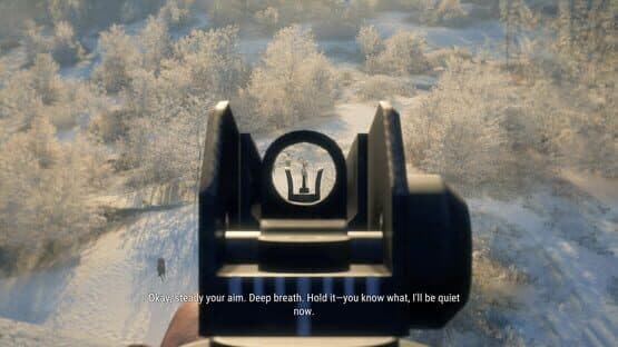 TheHunter: Call of the Wild - Modern Rifle Pack — screenshot 3