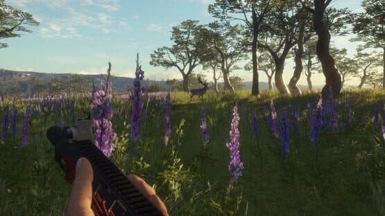 TheHunter: Call of the Wild - Modern Rifle Pack — screenshot 6