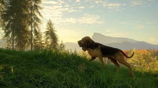 TheHunter: Call of the Wild - Bloodhound — screenshot 4