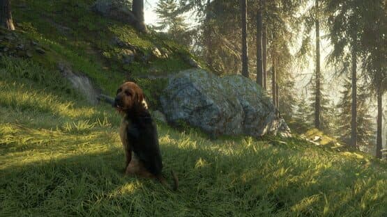 TheHunter: Call of the Wild - Bloodhound — screenshot 5