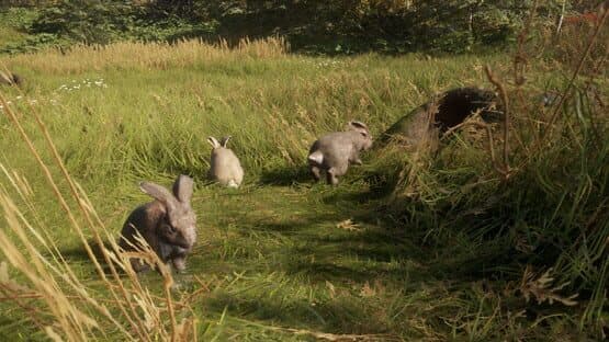 TheHunter: Call of the Wild - Free Species: European Rabbit — screenshot 2