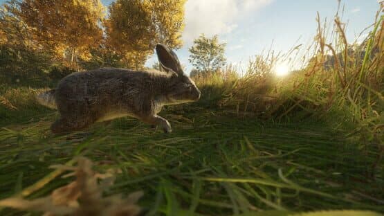 TheHunter: Call of the Wild - Free Species: European Rabbit — screenshot 3