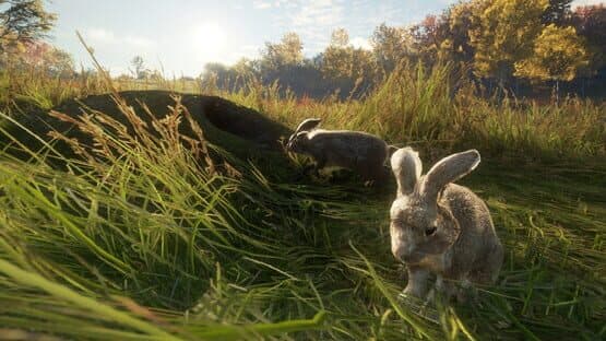 TheHunter: Call of the Wild - Free Species: European Rabbit — screenshot 4