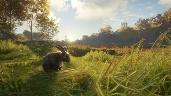 TheHunter: Call of the Wild - Free Species: European Rabbit — screenshot 5