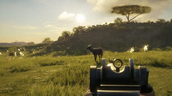 TheHunter: Call of the Wild - Smoking Barrels Weapon Pack — screenshot 1