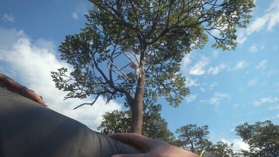 TheHunter: Call of the Wild - Treestand & Tripod Pack — screenshot 4