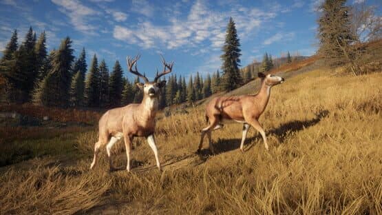 TheHunter: Call of the Wild - TruRACS — screenshot 2