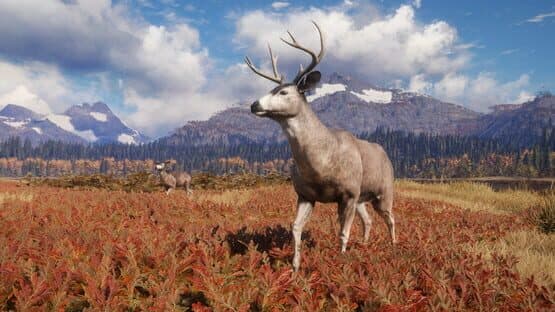 TheHunter: Call of the Wild - TruRACS — screenshot 3