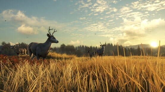 TheHunter: Call of the Wild - TruRACS — screenshot 4