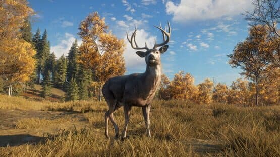 TheHunter: Call of the Wild - TruRACS — screenshot 5