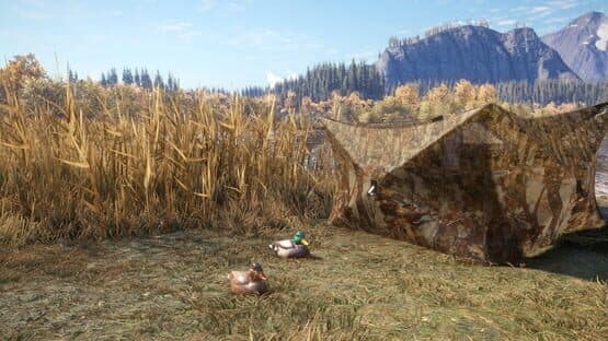 TheHunter: Call of the Wild - Duck and Cover Pack — screenshot 4