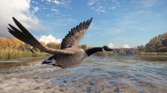 TheHunter: Call of the Wild - Wild Goose Chase Gear — screenshot 6