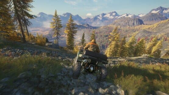 TheHunter: Call of the Wild - ATV Saber 4X4 — screenshot 3