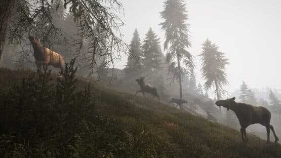 TheHunter: Call of the Wild - Facing the Wild 1 — screenshot 3