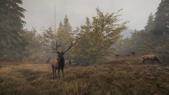 TheHunter: Call of the Wild - Facing the Wild 1 — screenshot 4