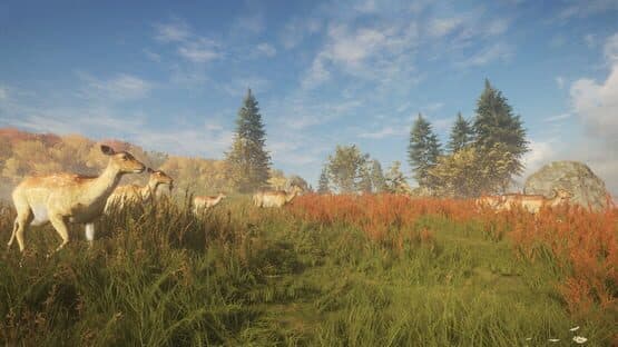 TheHunter: Call of the Wild - Facing the Wild 1 — screenshot 5