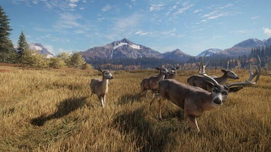 TheHunter: Call of the Wild - Facing the Wild 1 — screenshot 6
