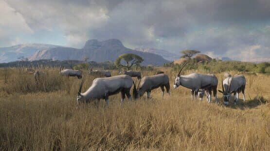 TheHunter: Call of the Wild - New Species 2018 — screenshot 1