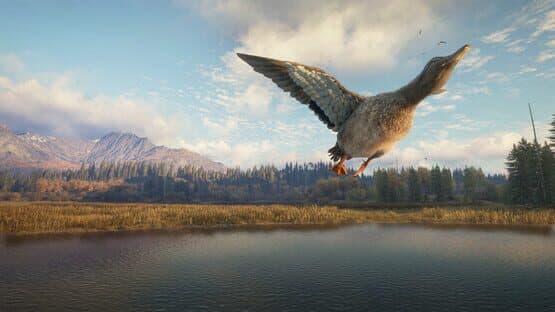 TheHunter: Call of the Wild - New Species 2018 — screenshot 5