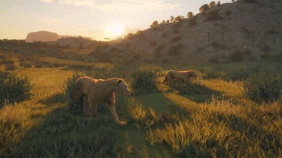 TheHunter: Call of the Wild - New Species 2019 — screenshot 2