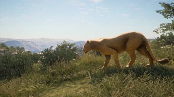 TheHunter: Call of the Wild - New Species 2019 — screenshot 3