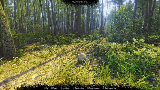 Mindfulness Simulator: ASMR Meditation Game — screenshot 1