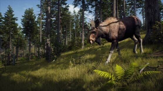 Way of the Hunter: Elite Edition — screenshot 1
