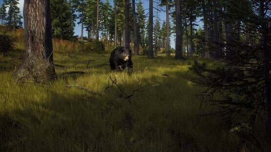 Way of the Hunter: Elite Edition — screenshot 2