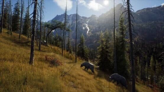 Way of the Hunter: Elite Edition — screenshot 4
