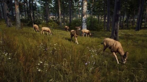 Way of the Hunter: Elite Edition — screenshot 5