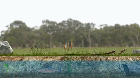 A toad well travelled — screenshot 1